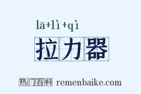 拉力器是什么意思的图片